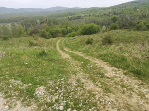 Poteca spre cazemata germana